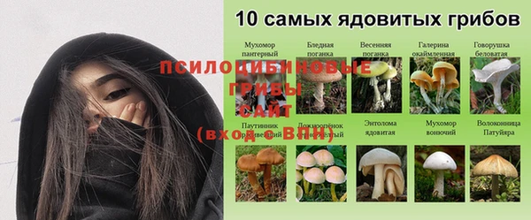 гашик Волоколамск