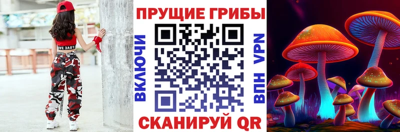 Псилоцибиновые грибы Psilocybine cubensis  блэк спрут ссылки  Жиздра 